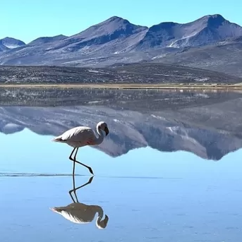 Arequipa